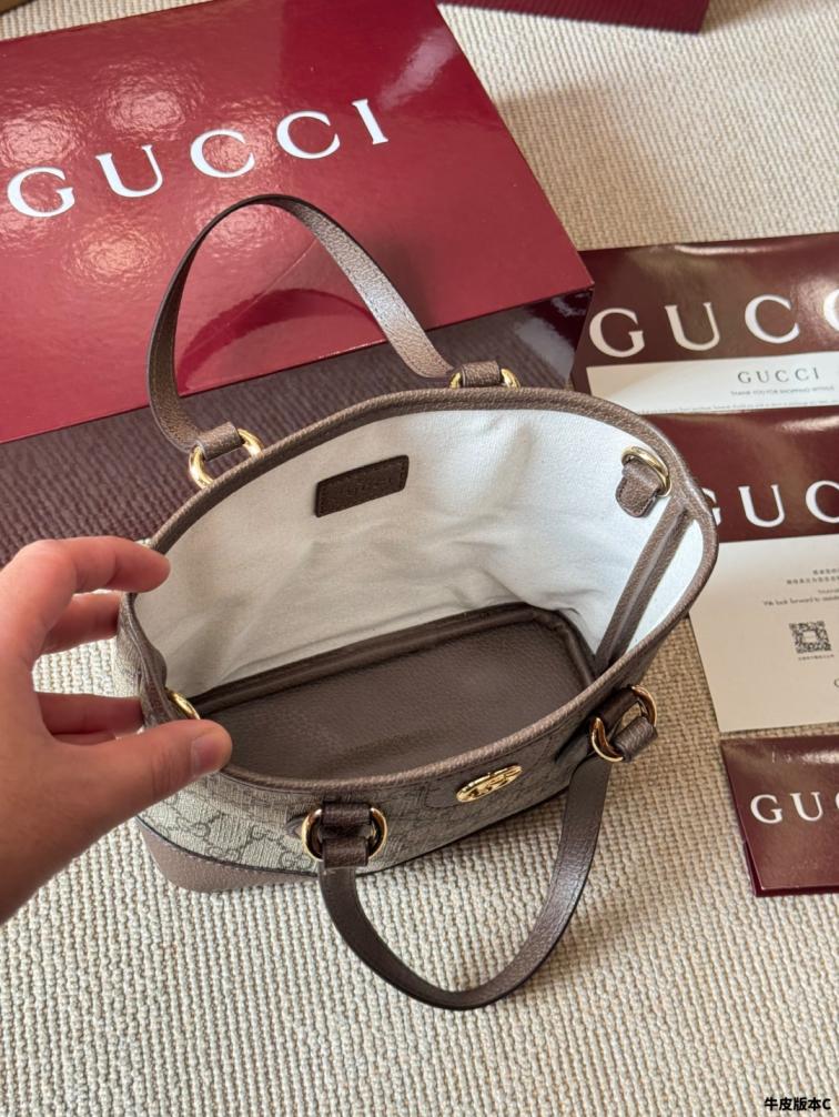 GUCCI Ophidia FABIA bag 9741