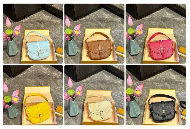 LV saumur bb bag