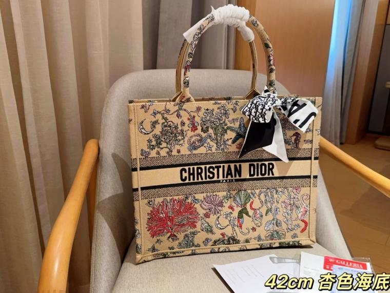 Dior Large Book tote embroidery bag