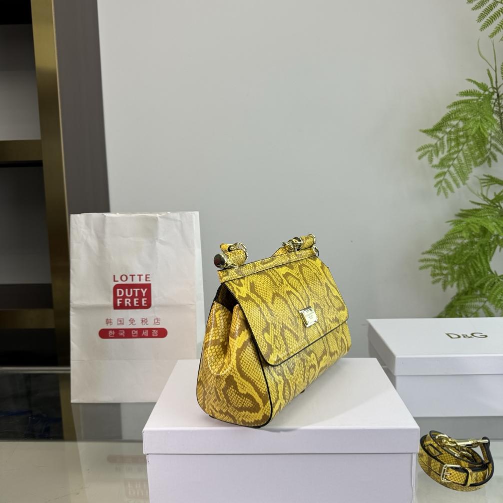 DG Dolce Gabbana handbag