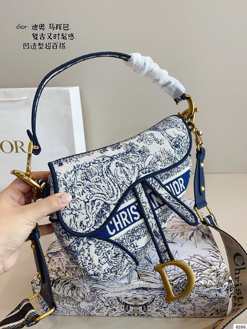 Dior saddle bag
