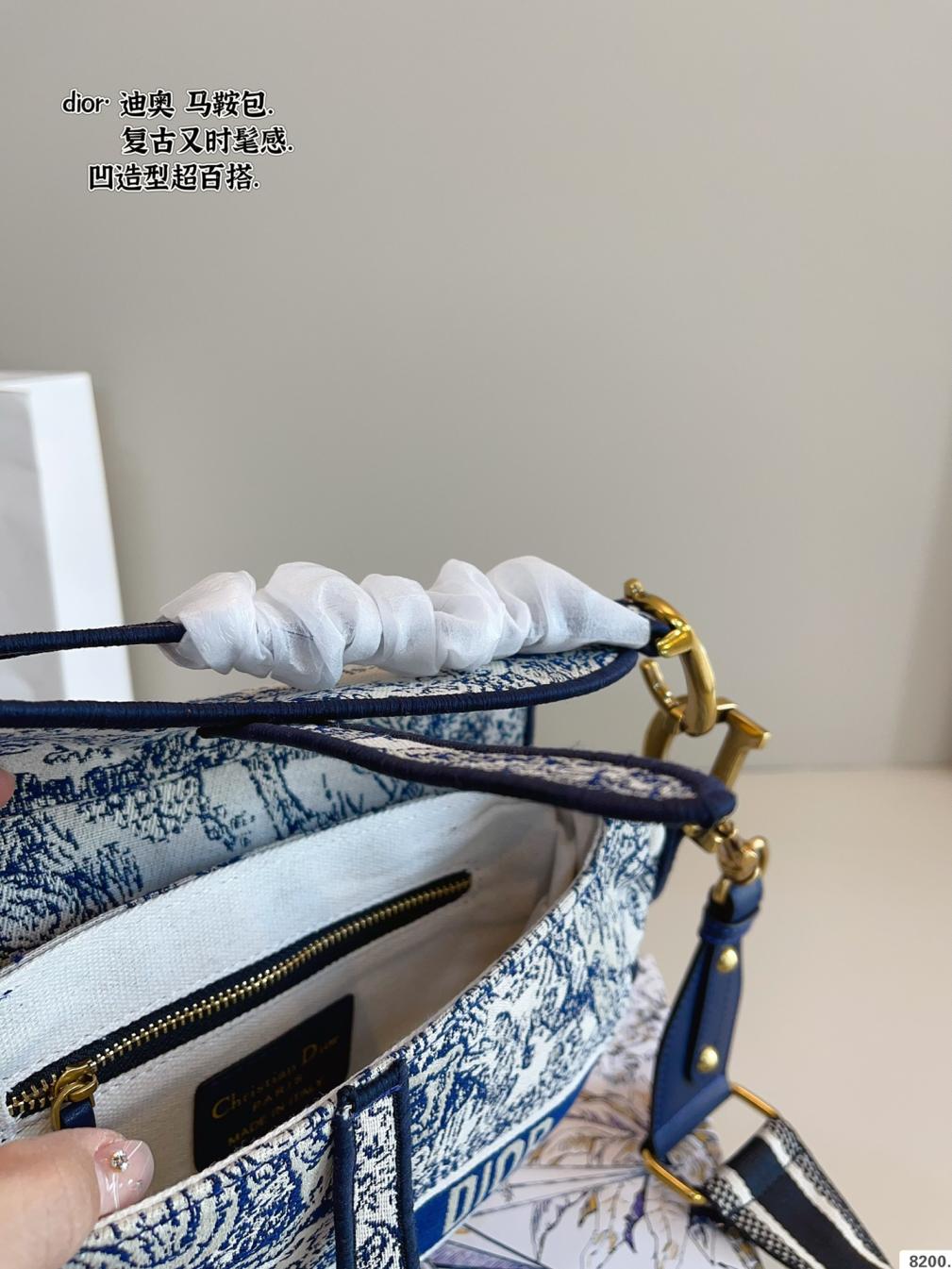 Dior saddle bag
