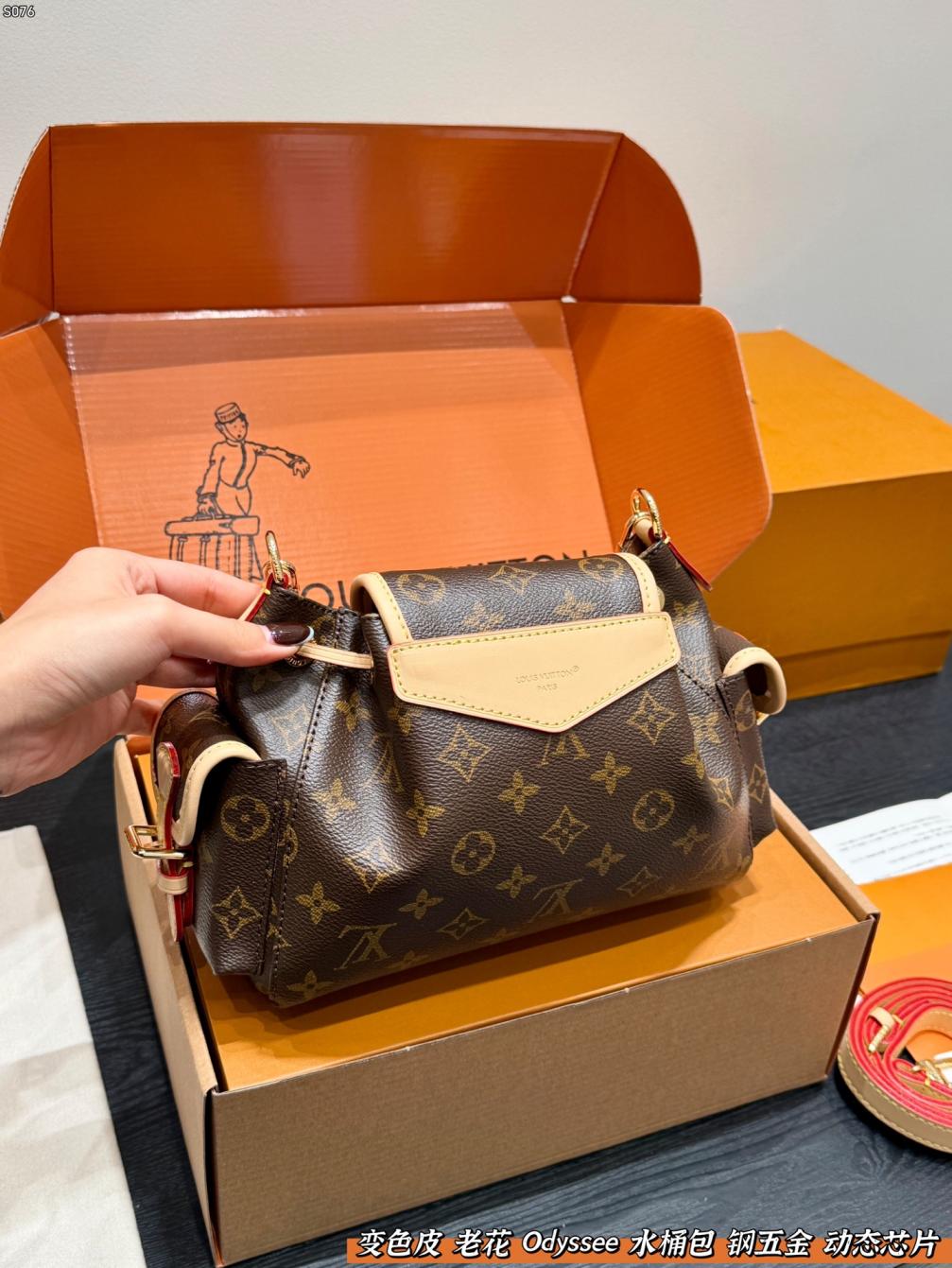 LV Odyssee Monogram bag