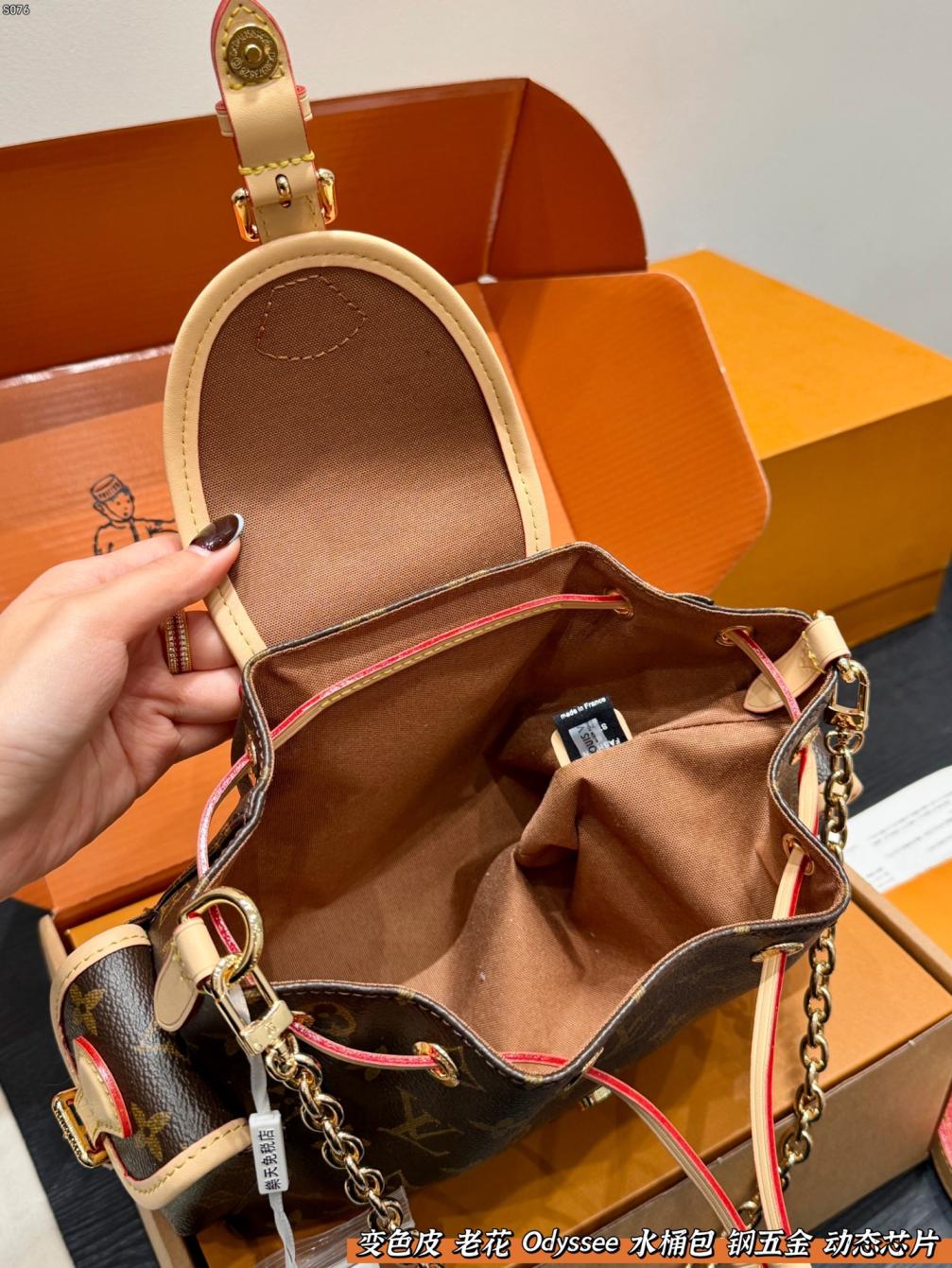 LV Odyssee Monogram bag