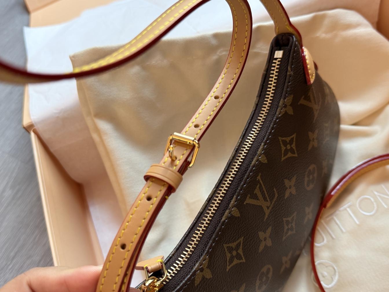 Lv Louis vuitton monogram pochette